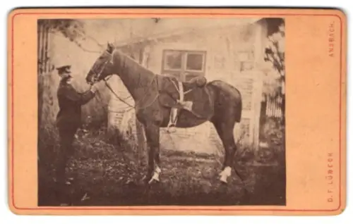 Fotografie D. F. Lübeck, Ansbach, Neuenweg, Soldat in Uniform mit Schirmmütze und gesatteltem Pferd
