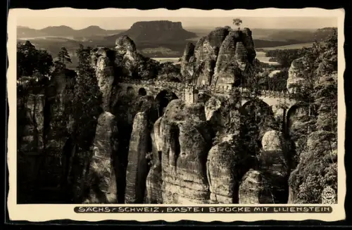 Foto-AK Walter Hahn, Dresden, Nr. 3205: Basteibrücke mit Lilienstein