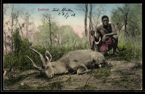 AK Südafrika, Bushbuck, afrikanischer Jäger mit erlegter Antilope