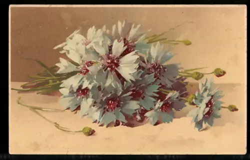 Künstler-AK Catharina Klein: Liegender Kornblumenstrauss