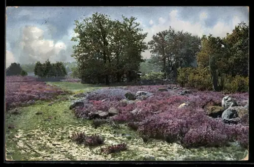 Künstler-AK Photochromie Nr.1678: Landschaftsbild mit blühenden Bodenbedeckern