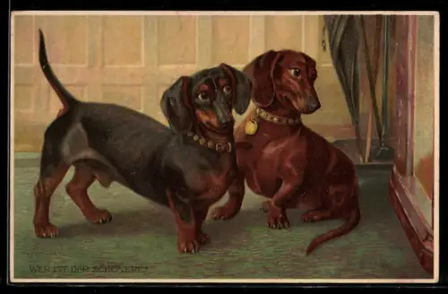 Künstler-AK Wer ist der Schönere?, zwei Dackel betrachten sich im Spiegel