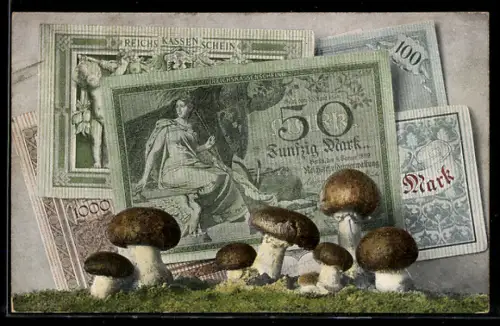 AK Reichskassenscheine der Reichsschuldenverwaltung, Geld, Steinpilze