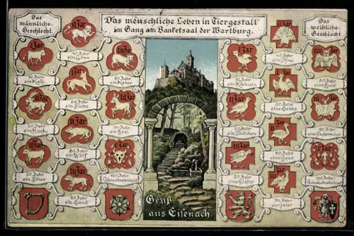 AK Eisenach, Wartburg, Zeichnungen im Gang am Bankettsaal, Das menschl. Leben in Tiergestalt