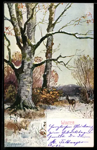 Künstler-AK August Splitgerber: Winter, Reh im Schnee