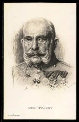Künstler-AK Schulterstück Kaiser Franz Josef I. von Österreich mit Orden