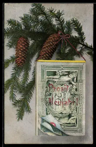 AK Reichskassenschein Zwanzig Mark unter Tannenzapfen, Geld