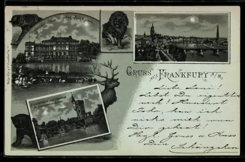 Mondschein-Lithographie Frankfurt a. M., Restaurant im Zoologischen Garten, Aussichtsturm und Aquarium