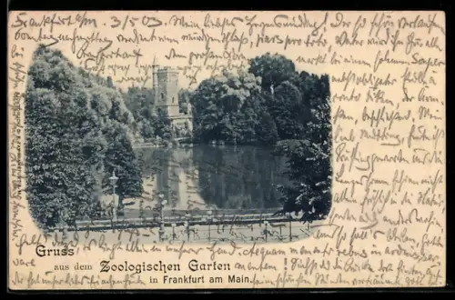 AK Frankfurt-Ostend, Zoologischer Garten, Uferpartie mit Turm