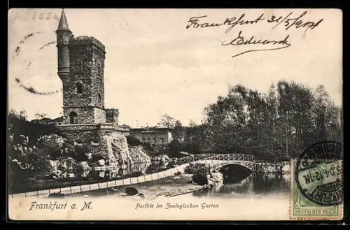 AK Frankfurt /M., Partie im Zoologischen Garten