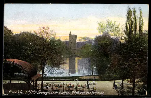AK Frankfurt-Ostend, Zoologischer Garten, Blick von der Terrasse