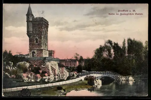 AK Frankfurt a. M., Ruine im Zoologischen Garten