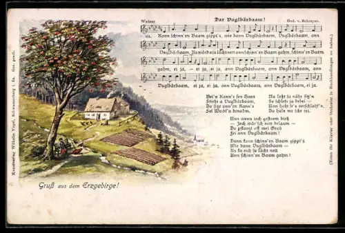 AK Dar Vuglbärbaam!, Lied & Walzer v. Schreyer