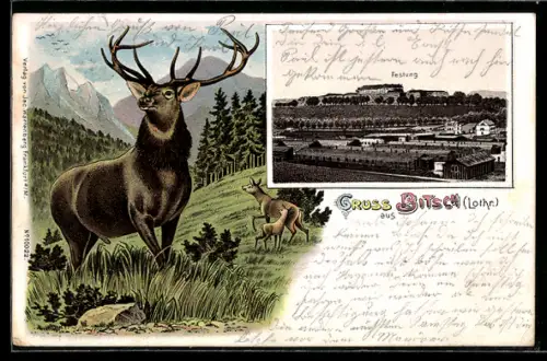 Lithographie Bitsch /Lothr., Ansicht der Festung und Barackenlager, Hirsch am Berghang