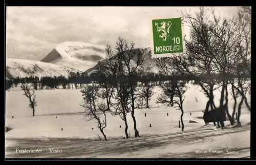 AK Prestevandet, Winterlandschaft