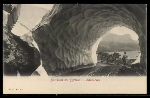 AK Telemarken, Snetunnel ved Dyrskar