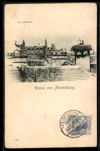AK Strassburg, Die Störche