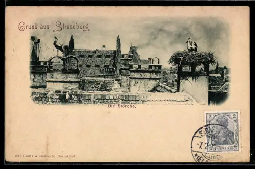 AK Strassburg, Die Störche