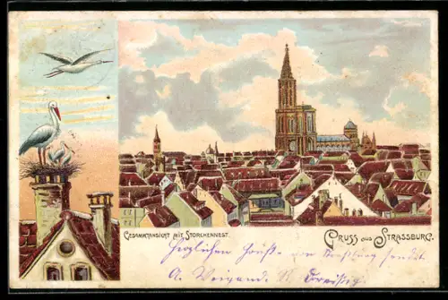 Lithographie Strassburg, Gesamtansicht mit Storchennest