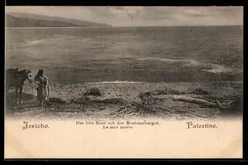 AK Jericho, Totes Meer mit Moabiterbergen