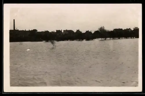 Foto-AK Bünde, Else-Hochwasser, Ortspartie unter Wasser