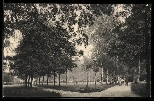 AK Mölln i. L., Spaziergänger in einem Park