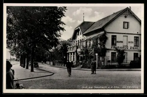 AK Geesthacht / Elbe, Gasthaus Fährhaus Ziehl, Strasse am Fährstieg