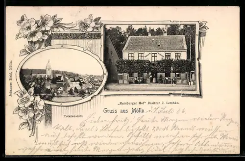AK Mölln, Partie am Gasthaus Hamburger Hof Bes. J. Lembke, Totalansicht