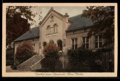 AK Burg /Spreewald, Gasthof zum Spreewald, Inh. Herm. Wicher, Aussenansicht mit Grünanlage