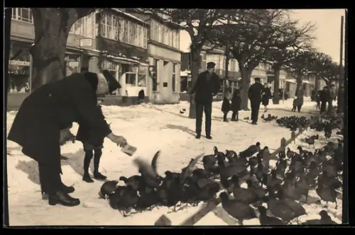 Foto-AK Travemünde, Strassenpartie Vorderreihe mit Enten