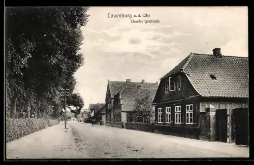 AK Lauenburg a. d. Elbe, Partie in der Hamburgerstrasse mit Wohnhäusern