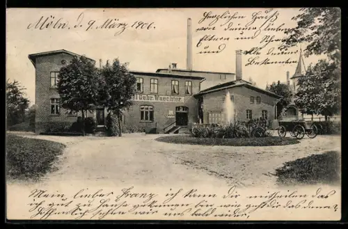 AK Mölln, Molkerei Gebrüder Waechter