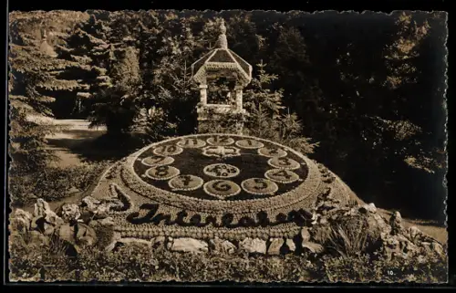 AK Interlaken, Kursaal. Blumenuhr mit anliegendem Wald