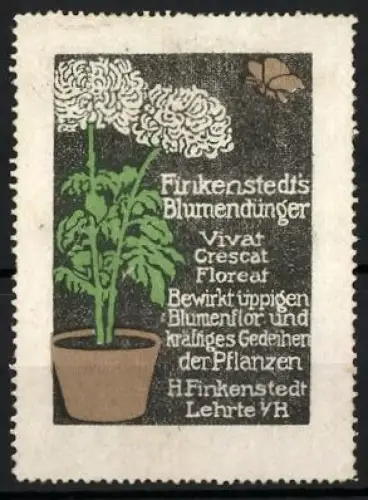 Reklamemarke Lehrte i. H., Finkenstedts Blumendünger, Pflanze im Blumentopf und Schmetterling