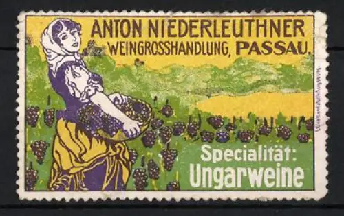 Reklamemarke Passau, Anton Niederleuthner, Weingrosshandlung, Weinleserin mit Traubenkorb