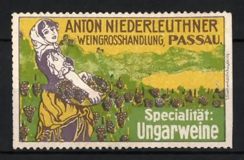 Reklamemarke Passau, Anton Niederleuthner, Weingrosshandlung, Weinlese-Motiv