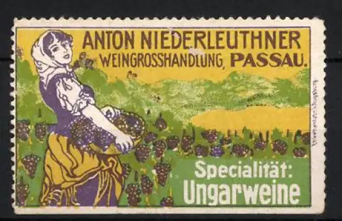 Reklamemarke Passau, Anton Niederleuthner, Weingrosshandlung, Weinlese-Szene