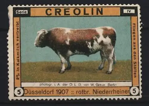 Reklamemarke Düsseldorf, Creolin 1907, rotbr. Niederrheiner