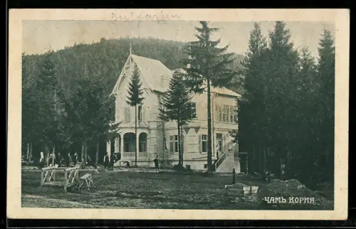 AK Tschamkoria, Panorama