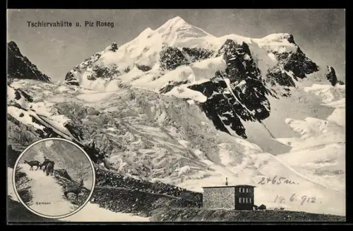 AK Tschiervahütte, Ansicht mit Piz Roseg, Gemsen