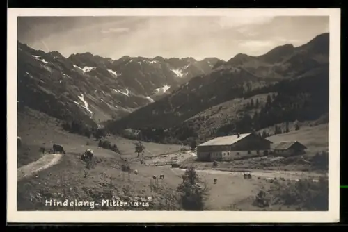 AK Mitterhaus /Hindelang, Ansicht mit weidenden Kühen