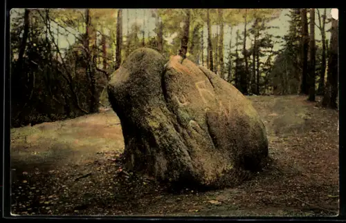 AK Lüneburger Heide, Karlstein im Rosengarten