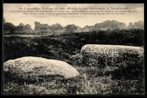 AK Tannenhausen /Aurich, Die 2 Findlinge auf dem Heidberg im Dannenkamp