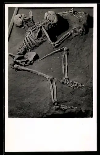 AK Worms, Museum, Menschliches Skelett, Ausgrabung