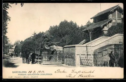 AK Barcelona, Parque, Colección Zoológica, Elefant im Zoo