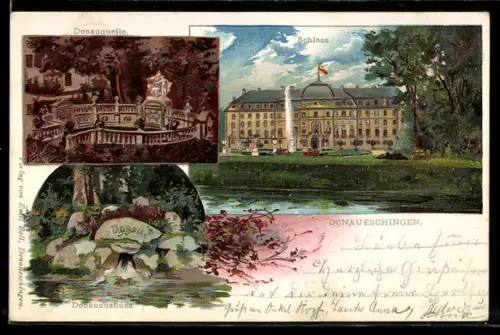Lithographie Donaueschingen, Ansicht vom Schloss, Donauquelle
