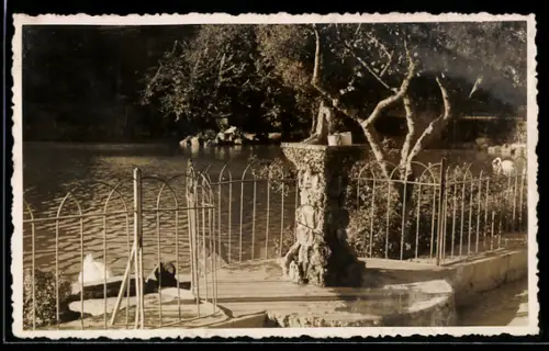 Foto-AK Lissabon, Seepartie auf dem Ausstellungsgelände