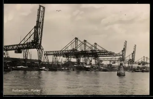 AK Rotterdam, Hafen mit Kränen