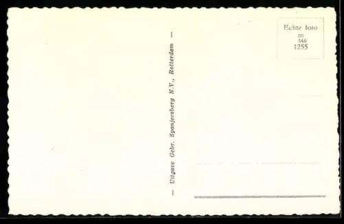 AK Rotterdam, Maashaven