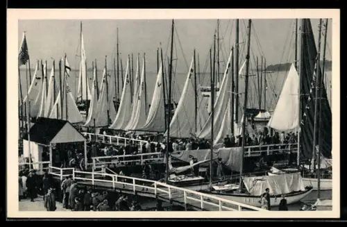 AK Kiel, Am Olympia-Hafen